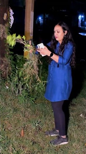 Google Lens ne bachai meri izzat❌😭🌿Engineer hoon, botanist nhi bhai🌱😂#plants #garden #gardening