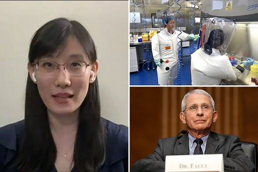 Covid 'is BIOWEAPON that leaked from Wuhan lab during 'Frankenvirus' tests'