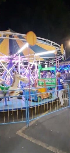 merry-go-round car or horse