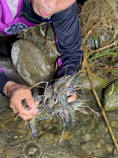 Nighttime River Shrimp Catching Adventure