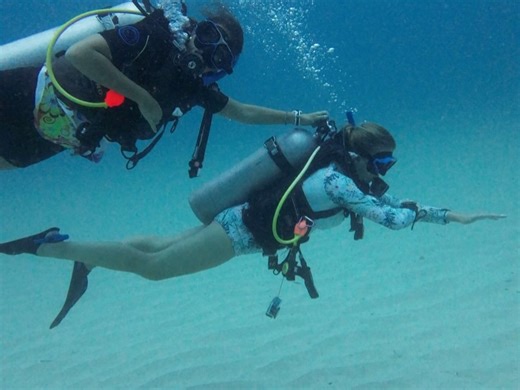 Underwater Vision on Reels