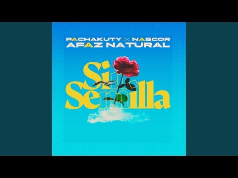 Sin Semilla