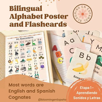 Spanish Alphabet Poster and Flashcards: Bilingual Cognate Words