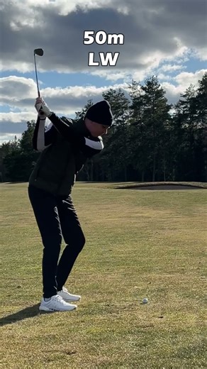 Good drive, layup mid fairway, decent approach, only needed one more roll... #golf