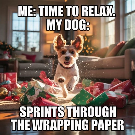My Dog When I Try to Relax on Christmas Morning 😂🎄