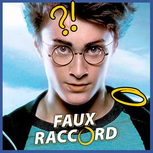 Cameramanus visibilis, faux raccoris stabylotus ! Michel et Michel décryptent et commentent pour nous les gaffes et erreurs des trois premiers volets de la saga magique ! | AlloCiné