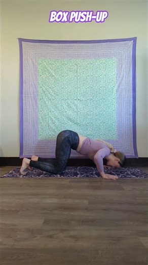 Box Push-Up (a great beginner's push-up on the ground)