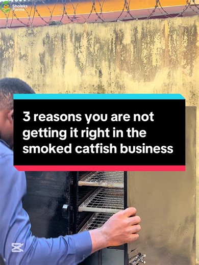 3 Reasons for Smoked Catfish Business Failures