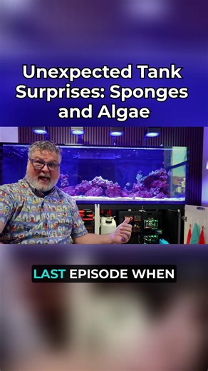 Discovering Unexpected Tank Surprises in Your Aquarium