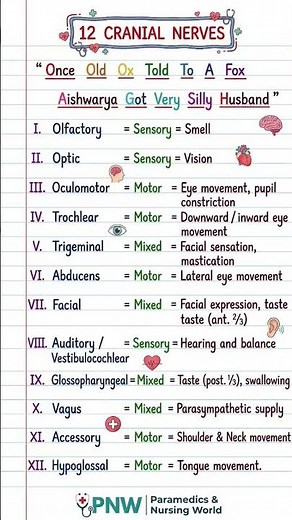 12 Cranial Nerves Mnemonic 🧠 | Learn in 30 Sec | Nursing Exam Revision #shorts #nursingshorts