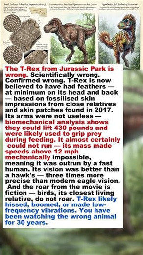 🦖Everything You Think You Know About T-Rex Is Wrong #shorts #wildlife