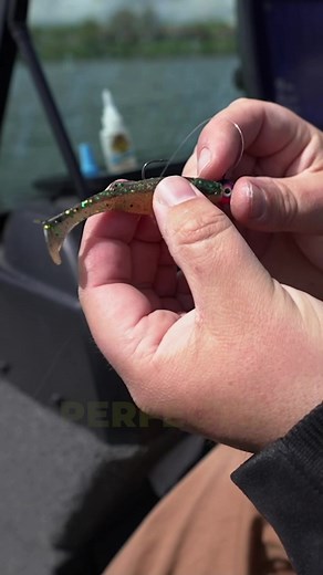 How to thread your plastics STRAIGHT every time!!! #Walleye #walleyefishing #fishing #shorts #icefishing #crappie #perch #targetwalleye #fyp #musky #fish