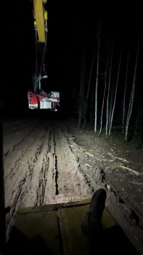 Processor head on a excavator CAT.