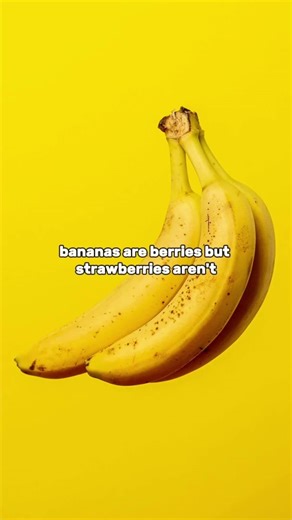 Did You Know These 5 Insane Facts About the World? ✅