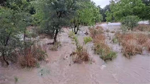 Unfortunately Modimolle parkrun was cancelled for the 29th of November 2025. The route is unsafe due to flooding. | Modimolle parkrun