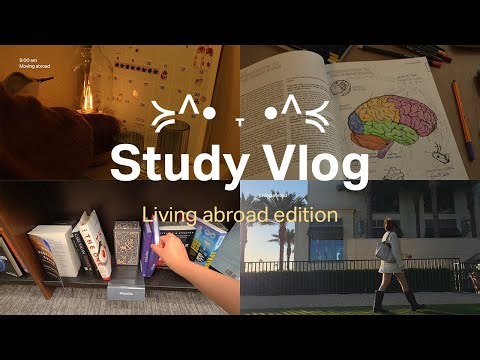 Living abroad vlog | studying, productive days, language self-study. 【Tips + Resources】