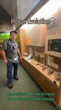 55 Million Years of Horse Evolution in One Exhibit 🐴🦴 #HorseEvolution #Equus #Paleontology