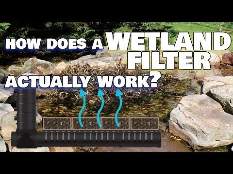 How Does A Wetland Filter (Bog) Work?