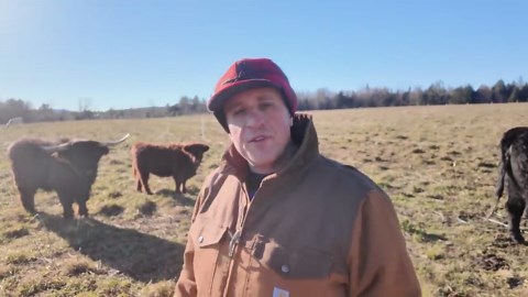 How I Make $500 an Hour Growing Trees on a Half-Acre Farm