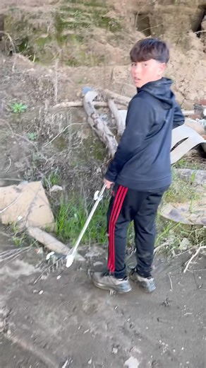 California Giant Centipede￼