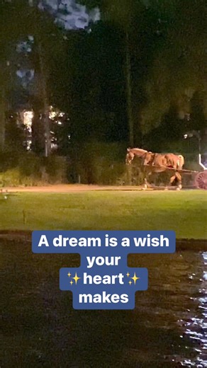 Is there anything more dreamy than a horse-drawn carriage ride at Disney?✨ #disneymagic | Streaming the Magic