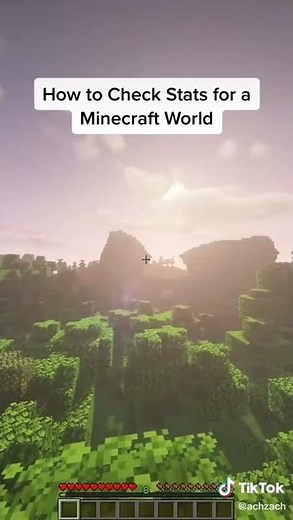 How to Check Stats for a Minecraft World?