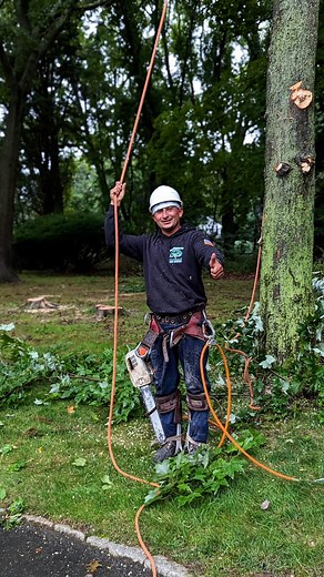 Your yard called…it said it’s time for a clean up 🪵🚜 . . . #TreeRemoval #LandClearing #Trimming #Pruning #LongIsland #SafetyFirst #StormServices #FreeEstimates | Branching Out Tree Service