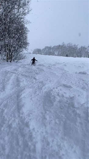 A little slow motion action featuring fresh chop, fat flakes and Diana’s smooth turns. #22DesignsAxl #AllForTheTurn #VivaTele #spreadtelemark #telemarkskiing #telemark #skiing #winter | 22 Designs