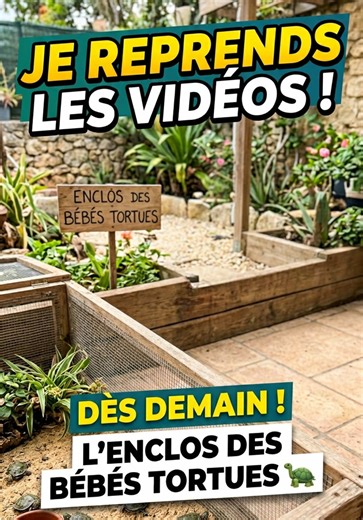 Enfin de retour ! 👋 Après deux semaines de pause pour recharger les batteries, je reviens avec une super énergie. Rassurez-vous, tout le monde va très bien à la maison. Vous m'avez manqué ! ✨ #retour #pause #famille #content #reprise