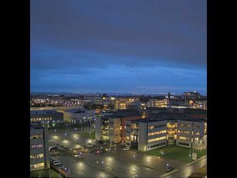 Live Camera Axis P3827-PVE Panoramic Camera