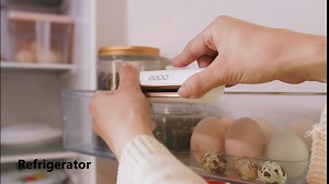 EEOO Portable Refrigerator Air Purifier, Ozone Generator, Food Shelf Life Extender, Odor Eliminator for Refrigerator, Wardrobe, Shoe Cabinet, Car