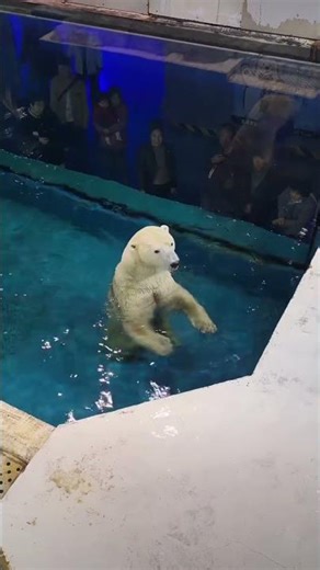 The Most Unlikely Animal Friendship You'll See Today