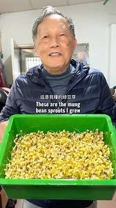 11K views · 5.3K reactions | Mung bean sprouts are a low-calorie,...