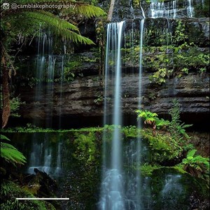41K views · 2.1K reactions | I have to visit all of them! ️ | Discover Tasmania | Facebook