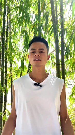 Leo Yang (@leoyangfindsmore)’s videos with original sound - Leo Yang