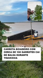 Acidente evidencia os riscos enfrentados diariamente no transporte rural da região Uma carreta boiadeiro de dois andares, carregada com aproximadamente 100 garrotes da raça Nelore, caiu de uma balsa no momento da travessia, provocando prejuízos e chamando a atenção para os riscos da atual logística de transporte na região. O incidente ocorreu durante o deslocamento do veículo sobre a balsa, quando, por circunstâncias ainda a serem apuradas, a carreta acabou despencando na água junto com a carga 