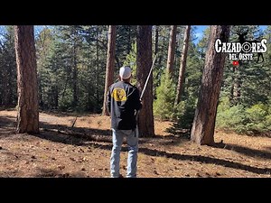 Cacería De Ardilla (Tree Squirrel)