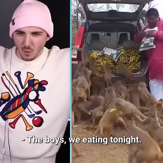 12K views · 304 reactions | These boys got bananas for a month #reels #banana #food #funny #reactionvideo #mrbeast | Beast Reacts Videos | Facebook