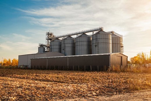 USDA WASDE Report: US Corn, Soybean Balance Sheets, Ending Stocks Unchanged