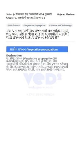 10th Science Ch3 Vegetative Propagation Explained