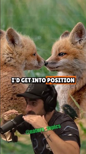 Raising Foxes: Paul Rosolie & Joe Rogan on Wild Encounters and Pet Foxes