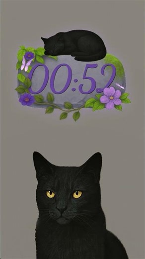 Countdown Timer WebM | Twitch OBS StreamLabs