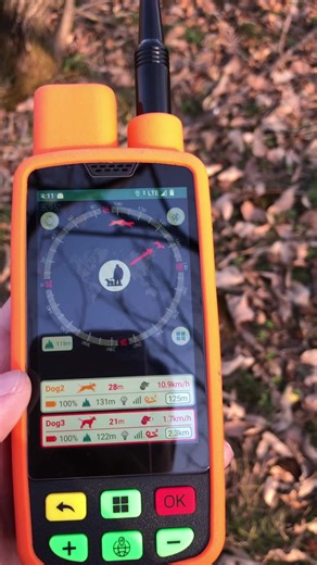 High-Definition Dog Trackers for Safe Adventures