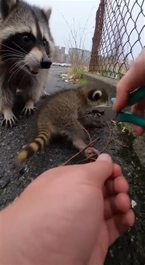 Hands Bending Wire in an Alley Hollow