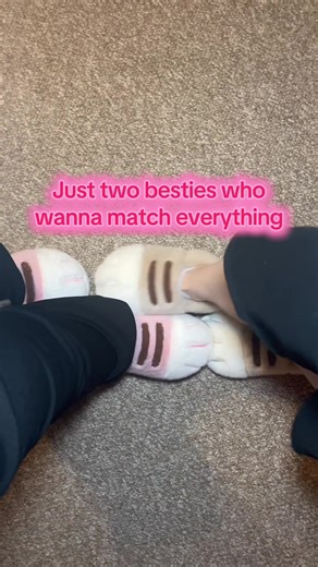 Cute Cat Paw Slippers for Best Friends