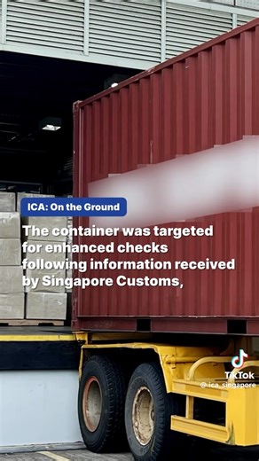 More than 500kg of cannabis detected at Pasir Panjang scanning station. On 3 January 2026, 509kg of cannabis was detected in a 20-foot inbound container at Pasir Panjang Scanning Station. Credit: Immigration & Checkpoints Authority | ROADS.sg