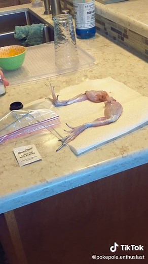 Salting Frog Legs: Understanding the Nerve Reaction