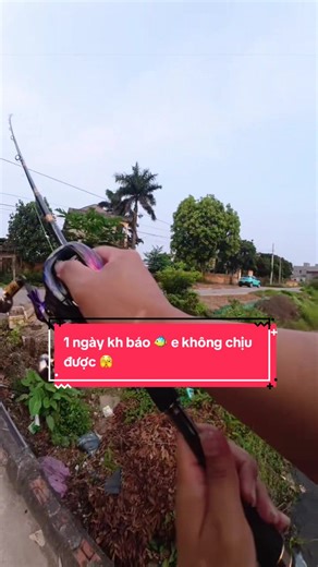 Câu Cá Lure Sống Không Chịu Nổi