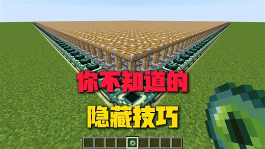 【MC】游戏里不会告诉你的隐藏机制