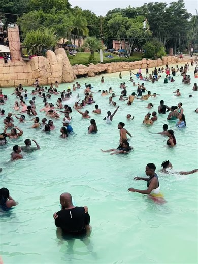 Sun City Trip Booking - February 2026 Adventures